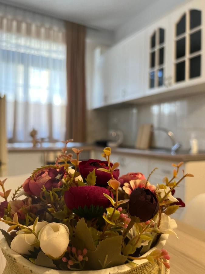 Sael Apartments Shkodër Dış mekan fotoğraf